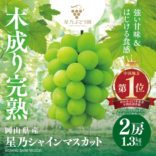 先行受付【三つ星ぶどう】星乃シャインマスカット (2房 1.3kg以上) 数量限定 岡山県産【配送不可地域：離島・北海道・沖縄県】【1418979】