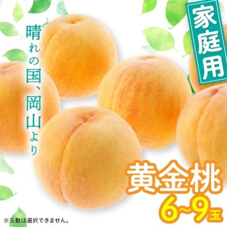 黄金桃(ご家庭用)6～9玉入り　【2026年8月末頃より発送予定】【配送不可地域：離島】【1460796】