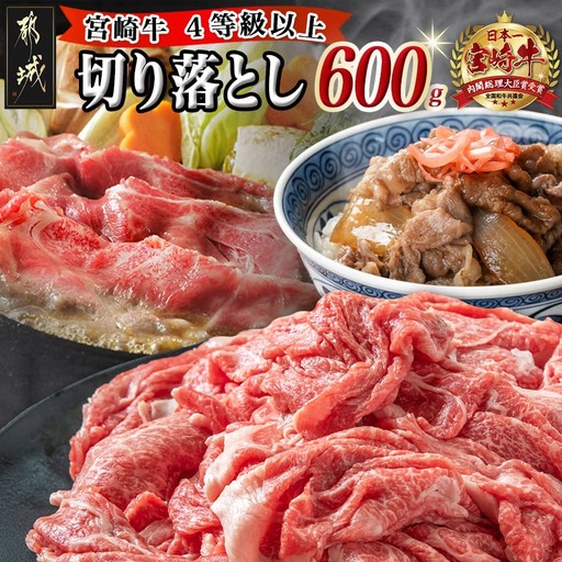 宮崎牛切り落とし600g〔AA-89-006-600g〕_(都城市) 国産黒毛和牛 ブランド牛 牛肉 宮崎牛切落とし肉 300g×2パック 計600グラム 牛丼や炒め物などに 万能 冷凍 国産 九州産 宮崎県産 都城産