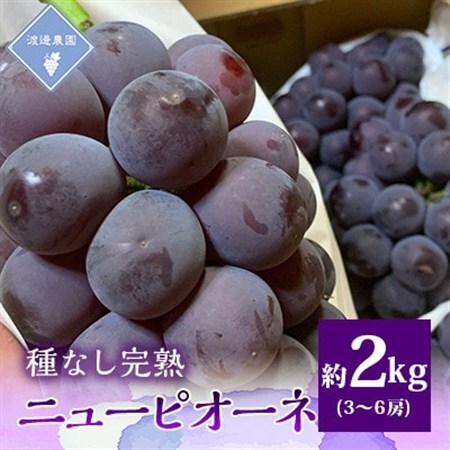 【先行予約 2026年発送】岡山県産　種なし完熟 ニューピオーネ　3房～6房(合計約2kg)【配送不可地域：離島】【1562279】