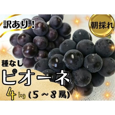 【2027年先行受付】訳あり岡山県産ピオーネ4kg【配送不可地域：離島】【1571848】