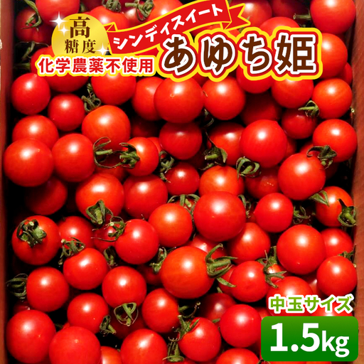 [11月から順次発送]化学農薬不使用 中玉トマト シンディースイート あゆち姫 1.5Kgトマト ミニトマト とまと 野菜 中玉 夏野菜 高糖度 -013