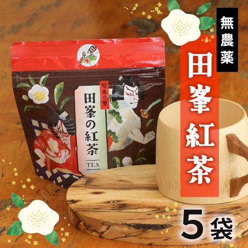 何も加えてない・ピュアな紅茶★無農薬 田峯紅茶 5袋セット 紅茶 ホット アイス アイスティー 茶 -022