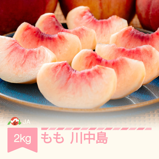 [先行予約]もも 桃 川中島 約2kg 令和9年産 ja-moknx2