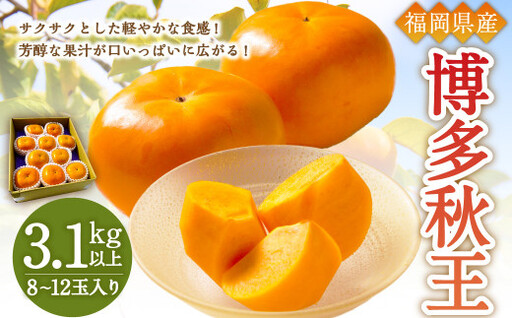 【優等品】福岡県産 博多秋王 約3.1kg以上(8玉～12玉入り) 果物 フルーツ 柿 かき 【2026年10月上旬～11月下旬発送予定】※北海道・沖縄・離島配送不可