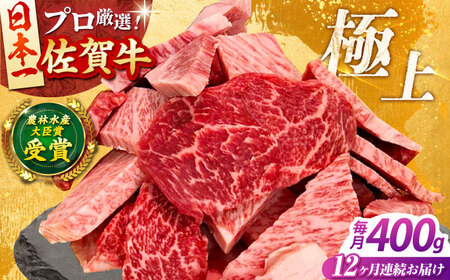 【全12回定期便】佐賀牛 焼肉用 400g 【田中畜産牛肉店】[HBH156] 焼肉 佐賀牛 黒毛和牛