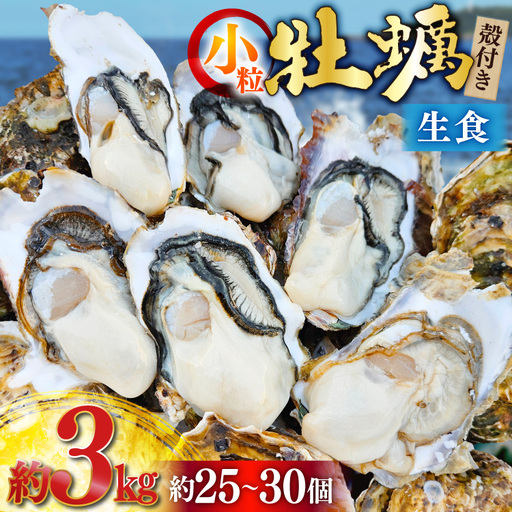【期間限定発送】 牡蠣 小粒 1～1年半モノ 生食 殻付き牡蠣 約3kg