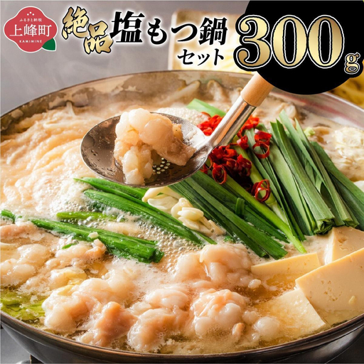 ＜最短10営業日以内発送＞2～3人前 絶品塩もつ鍋セット（300g）
