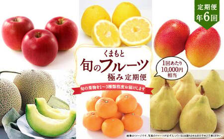 [年6回定期便]くまもと 旬のフルーツ極み 定期便 ②