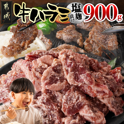 牛ハラミ 塩麹タレ漬け900g〔LG8J-33-025-900g〕_(都城市) 味付き 牛肉 真空 小分け