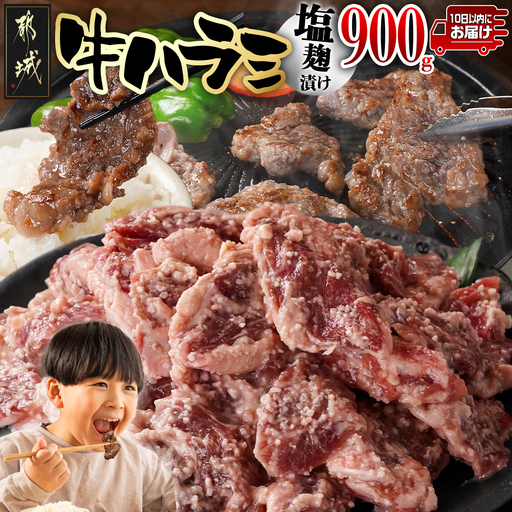 牛ハラミ 塩麹タレ漬け900g≪みやこんじょ特急便≫〔LG8J-33-025-900g-Q〕_(都城市)  味付き 牛肉 真空 小分け