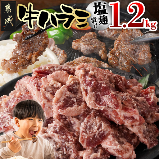 牛ハラミ 塩麹タレ漬け1.2kg〔12J-33-025-1200g〕_(都城市)  味付き 牛肉 真空 小分け