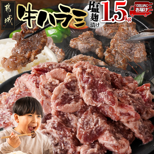 牛ハラミ 塩麹タレ漬け1.5kg≪みやこんじょ特急便≫〔14J-33-025-1500g-Q〕_(都城市)  味付き 牛肉 真空 小分け
