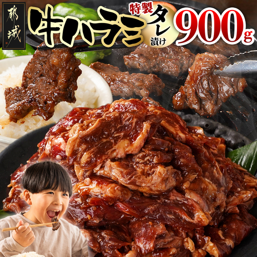 牛ハラミ タレ漬け900g〔LG8J-33-024-900g〕_(都城市)  味付き 牛肉 真空 小分け