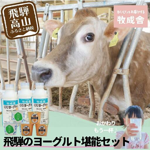 [寄附額見直しました!]『牧成舎』 飛騨のヨーグルト堪能セット (ヨーグルト2種 / 飲むヨーグルト1種) DF011VC13