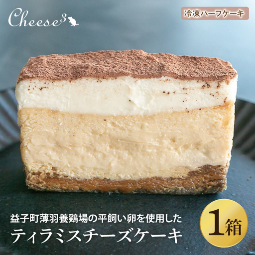 ティラミスチーズケーキ 冷凍 ハーフ CP006