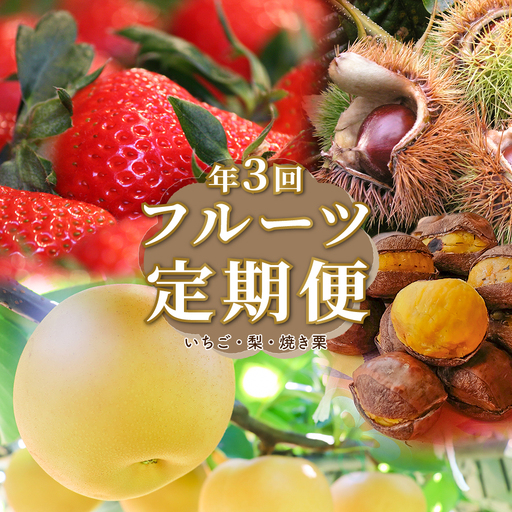【ふるさと納税】＜フルーツ 定期便（全３回）＞ いちご 梨 焼き栗 fruit 苺 おすすめ 旬 果物 くだもの 高知県 佐川町産【冷蔵】【常温】【冷凍】