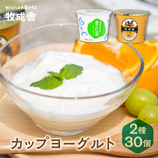 【寄附額見直しました！】＜牧成舎＞ 飛騨の牛乳屋のこだわりヨーグルト (30個セット)  ヨーグルト DF012VC13