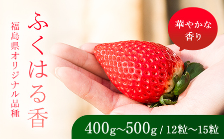 [先行予約]香りが強い!福島県オリジナル品種「ふくはる香」 約400g〜500g(12粒〜15粒) いちご イチゴ 苺 福島県 鏡石町 鏡石農遊園 F6Q-525