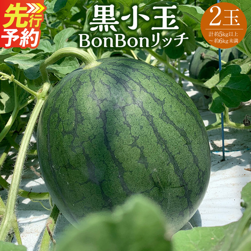 ＜ R8年熊本地震復興支援 ＞黒小玉 BonBonリッチ 2玉 【2027年5月下旬から6月上旬発送予定】 すいか 西瓜 果物 くだもの フルーツ