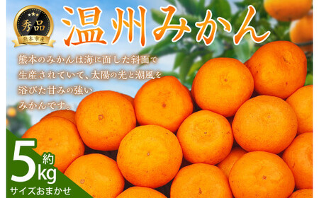 温州みかん 秀品約 5kg サイズおまかせ[2026年9月上旬〜2027年2月下旬発送予定]みかん 果物 くだもの フルーツ 柑橘