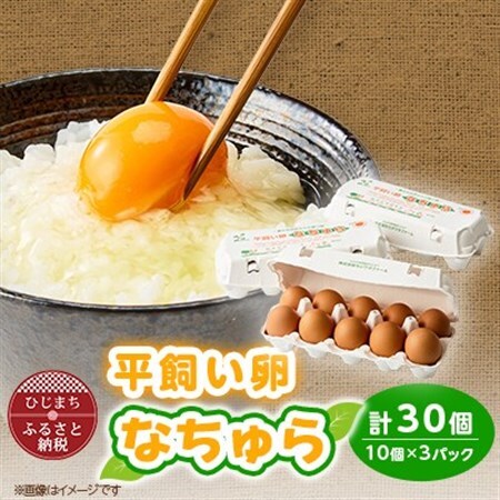 平飼い卵なちゅら(30ヶ入り)_卵 たまご 玉子 タマゴ 鶏卵 まとめ買い オムレツ 卵かけご飯 朝食 料理 人気 美味しい_【配送不可地域：離島】【1585333】