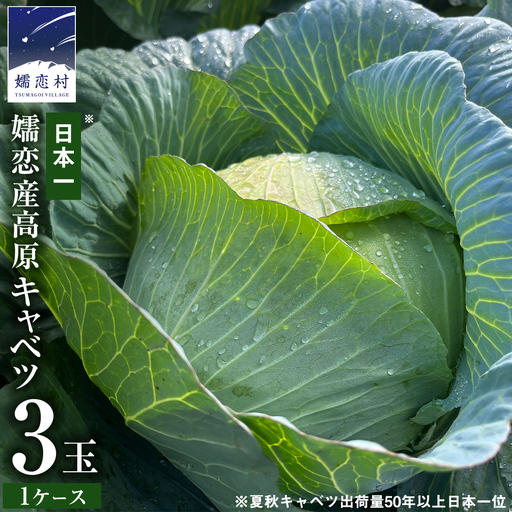 ＜レビューキャンペーン開催中＞【7月中旬発送開始】 嬬恋キャベツ 嬬恋産 高原キャベツ3玉1ケース [AS010tu]