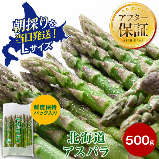 【2027年先行予約】露地物朝採りアスパラ　鮮度保持フィルム入り　Lサイズ　500g×1（5月中旬発送開始予定）| アスパラ 北海道 _04750