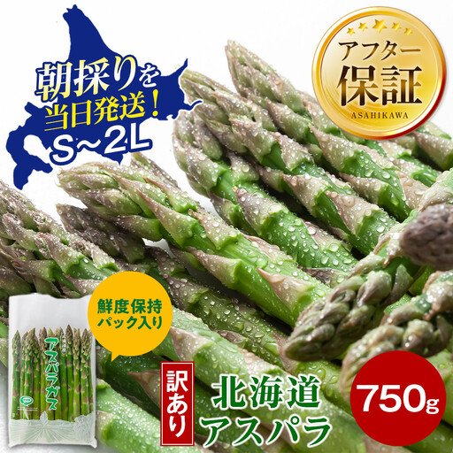 [2027年先行予約][訳あり]露地物朝採りアスパラ 750g×1 鮮度保持フィルム入り(5月中旬発送開始予定)| 訳あり 北海道 _04751