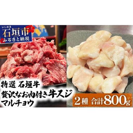牛スジ500gマルチョウ300gのセット