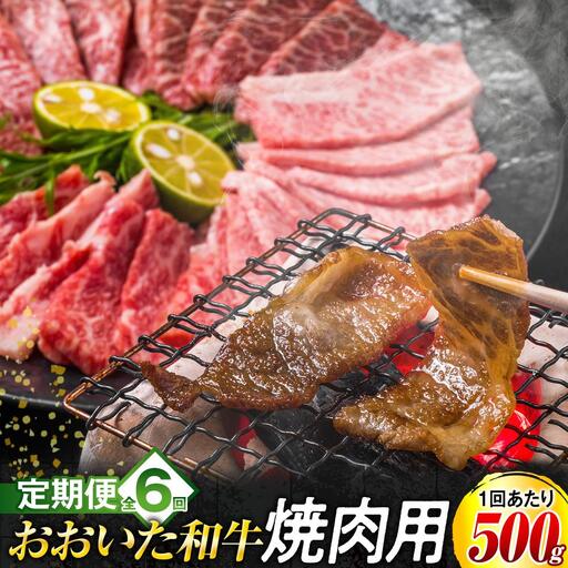 【定期便 全6回】おおいた和牛 焼肉用 500g