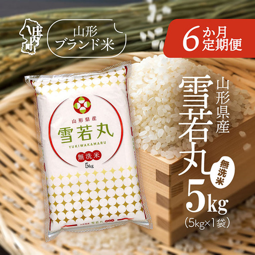 【6か月定期便】特A 山形米 雪若丸 無洗米 5kg 毎月 5kg×1袋 令和7年産 / 令和8年産 ブランド米 米 山形 庄内平野 定期【8月中旬発送/入金期限：2026年7月25日】