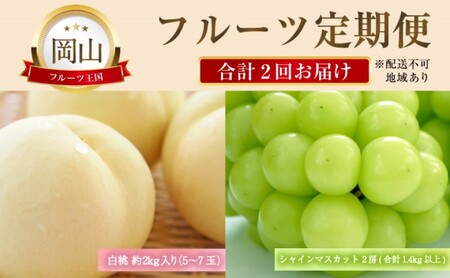 フルーツ 定期便 [2027年 先行予約] 晴れの国 おかやま の 白桃 2kg(5玉〜7玉) シャインマスカット 2房 合計1.4kg以上 岡山県産 国産 セット ギフト