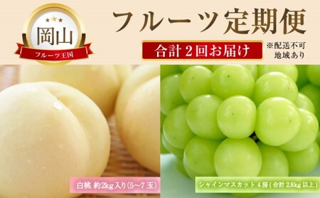 フルーツ 定期便 [2027年 先行予約] 晴れの国 おかやま の 白桃 2kg(5玉〜7玉) シャインマスカット 4房(合計2.8kg以上) 岡山県産 国産 セット ギフト