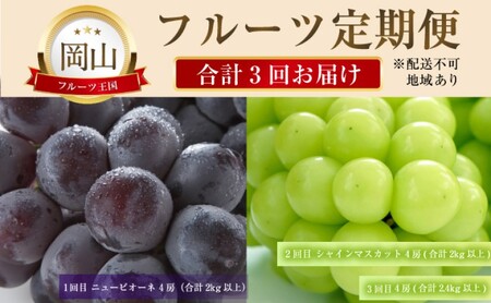 ぶどう [2027年 先行予約] 晴れの国 おかやま の フルーツ 定期便 葡萄 ニュー ピオーネ シャインマスカット 岡山県産 国産 セット ギフト