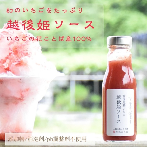 越後姫ソース（大瓶） 5瓶 いちご イチゴ 苺 加工品 お取り寄せ 新潟 苺の花ことば