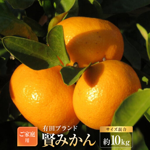 有田のブランド「賢みかん」約10kg サイズ混合 ご家庭用［2026年11月中旬頃より順次発送］