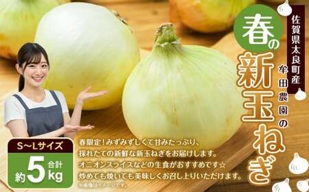 牟田農園の春の新玉ねぎ 5kg/10kg 選べる種類