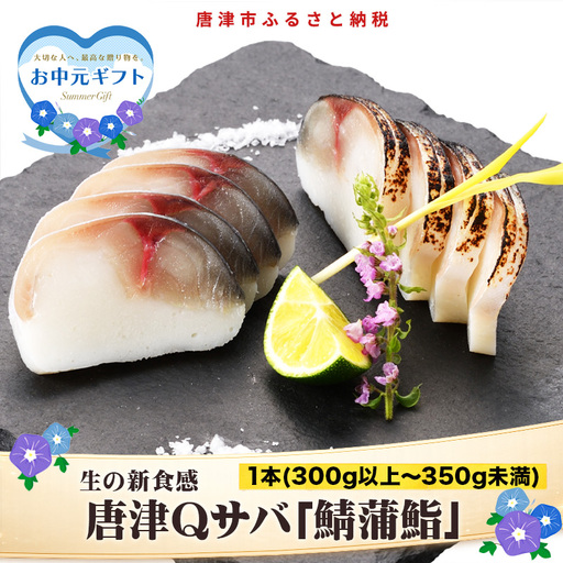 「お中元」生の新食感 唐津Qサバ「鯖蒲鮨」1本(300g以上〜350g未満) さば 蒲鉾 かまぼこ おつまみ ギフト 鯖 サバ 唐津 Qサバ 鯖鮨 呼福 大志 水産 魚 海鮮 水産加工
