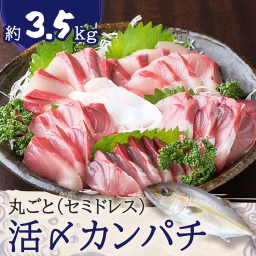 鹿児島県産 カンパチ 約3.5kg 一本丸ごと（ セミドレス ） 活〆 K294-003_01 魚