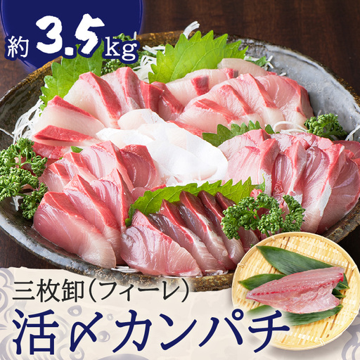 鹿児島県産 カンパチ 約3.5kg 三枚卸（ フィーレ ） 活〆 ※ 真空包装 K294-003_02 魚