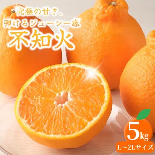 紀州田辺の 不知火 5kg(2027年3月頃から順次発送予定) / デコポン でこぽん 柑橘 和歌山 みかんランキング 果物 くだもの フルーツ 柑橘 産地直送 国産 和歌山 [tcs017-1]