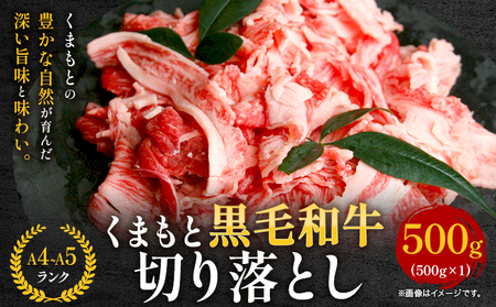 くまもと黒毛和牛 切り落とし 500g 黒毛和牛