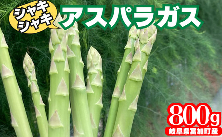 【12052】アスパラガス 800g