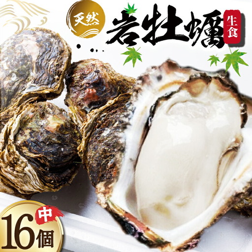 【期間限定発送】 ヨコタ礁 天然 岩牡蠣 生食用 中 16個