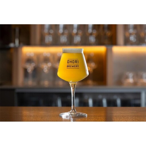 大濠ブルワリー OHORI SOUR 缶ビール 350mlｘ12缶セット ビール