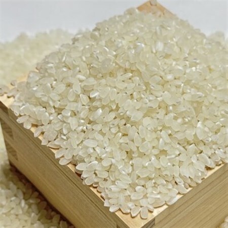 吉岡町産コシヒカリ(GUDアグリ使用)精米10kg【1586064】