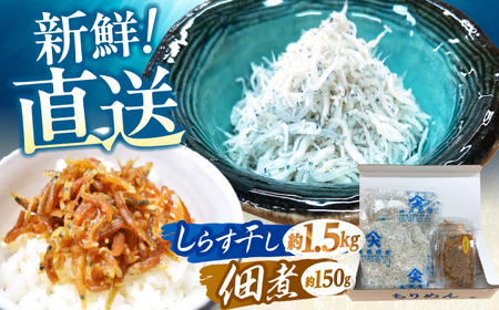 しらす干し(約1.5kg)と佃煮(約150g)セット&nbsp;/森国商店&nbsp;浜で瞬時に釜出し&nbsp;高知のしらす[グレイジア株式会社][ATAC487]