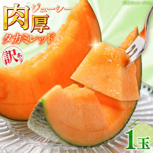 【2027年5月-発送】訳あり タカミメロン レッド 1玉 / メロン めろん フルーツ 果物 / 南島原市 / 南島原果物屋[SCV034]