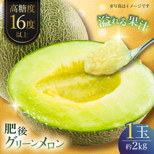 [先行予約]肥後グリーンメロン 約2kg(1玉入) メロン グリーンメロン フルーツ 熊本県産 [日本フルーツ株式会社] 